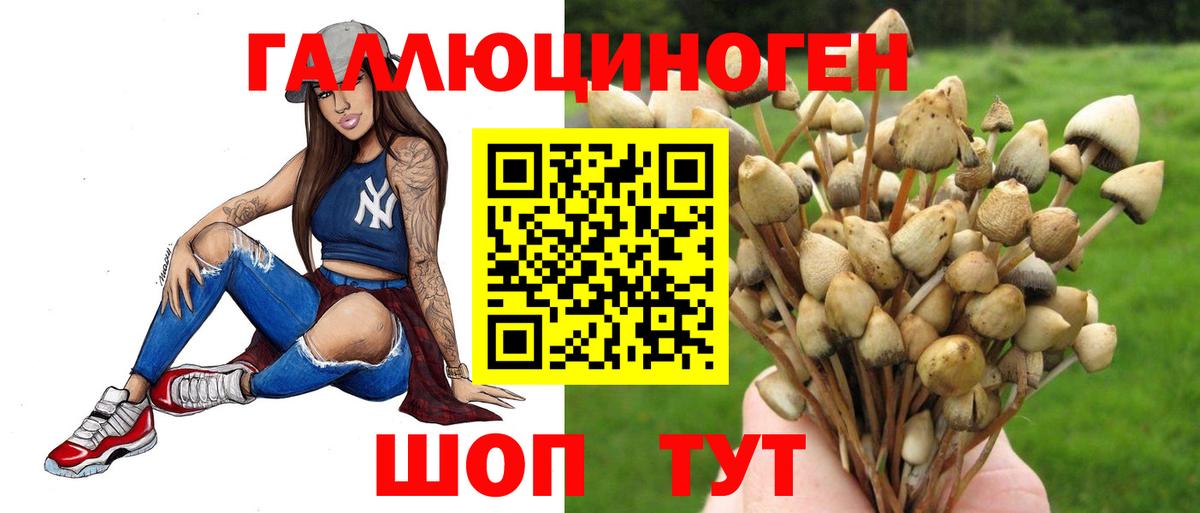 Псилоцибиновые грибы Psilocybe  Вход с VPN  Псилоцибиновые грибы Magic Shrooms  Кызыл 