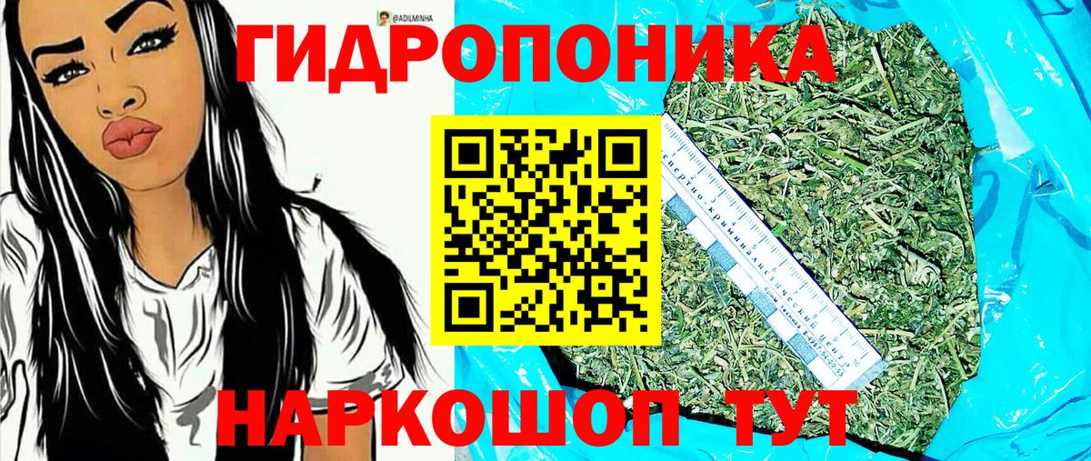 Марихуана гибрид  Канабис THC 21%  Кызыл  Вход с VPN  Канабис Ganja 